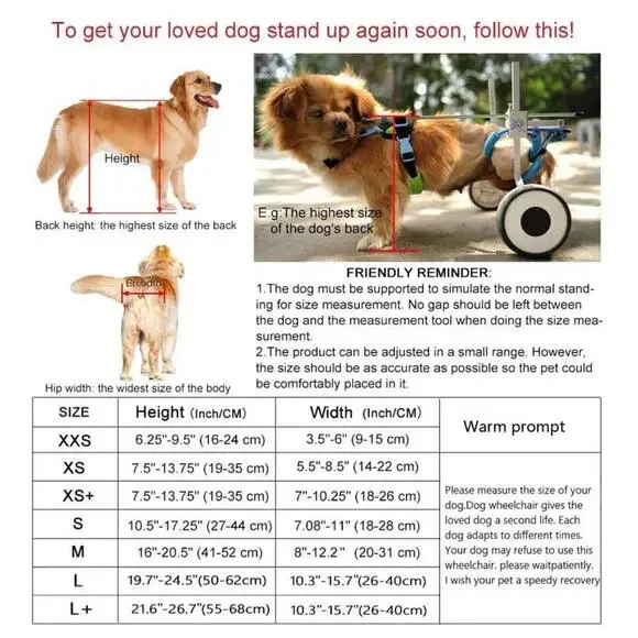 HiHydro Cart Small Pet Wheelchair Handicapped Hind Legs Dog Cat Walk XXS-XS